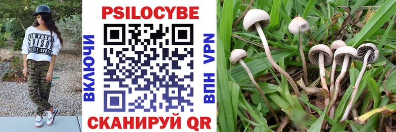 Псилоцибиновые грибы мухоморы  где найти наркотики  ссылка на мегу зеркало  Орск 