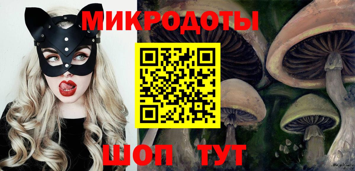 где найти   Вход с VPN  Орск  Галлюциногенные грибы Cubensis 