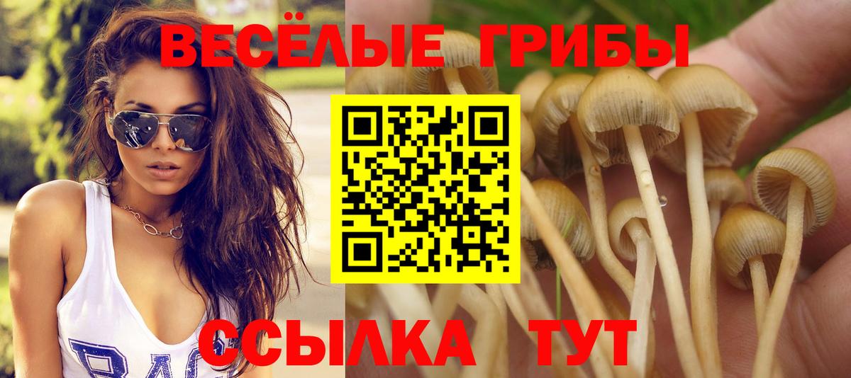Псилоцибиновые грибы ЛСД Орск