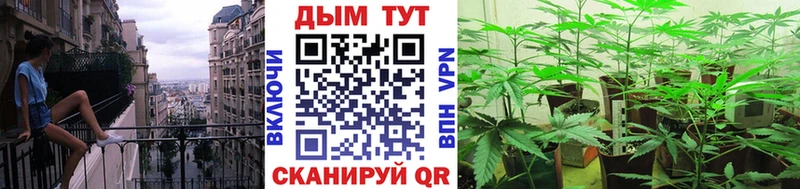 Бошки марихуана OG Kush  Орск 